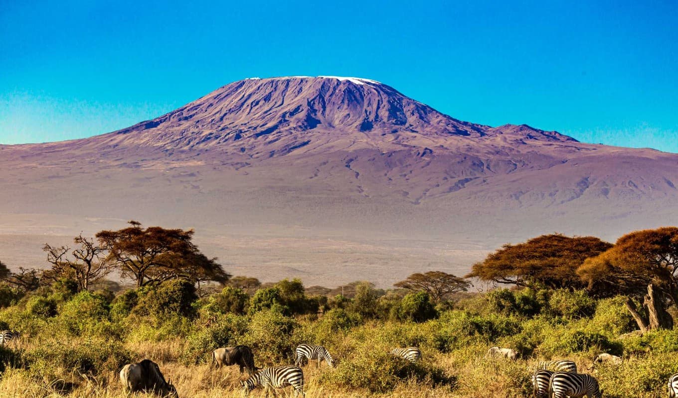 Kilimanjaro