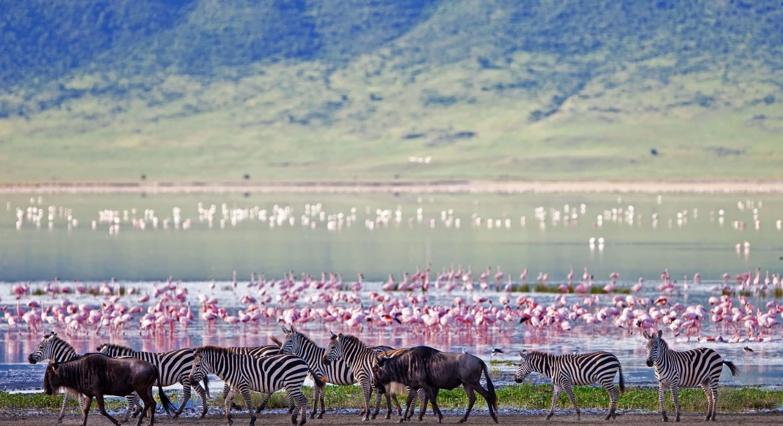 Ngorongoro क्रेटर